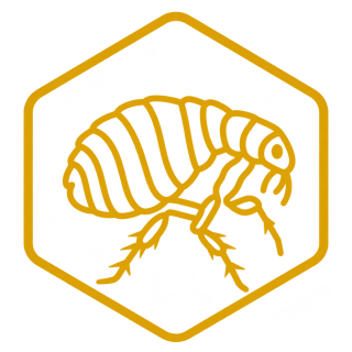 Fleas Control icon